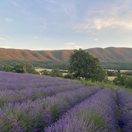 Grand Face Lycée International Et Hôpital, Cadarache-iter *